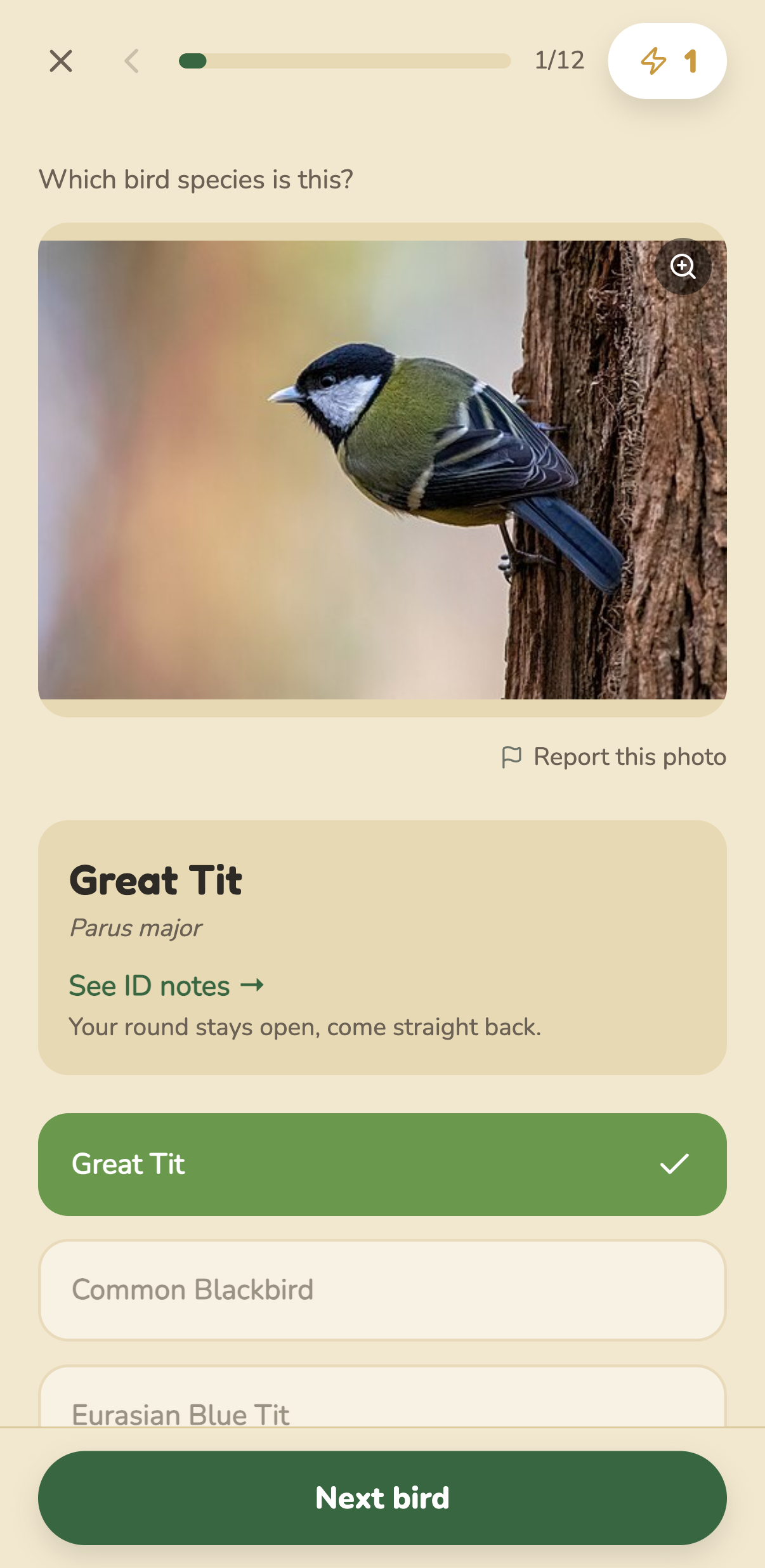 A photo question answered correctly, naming the Great Tit