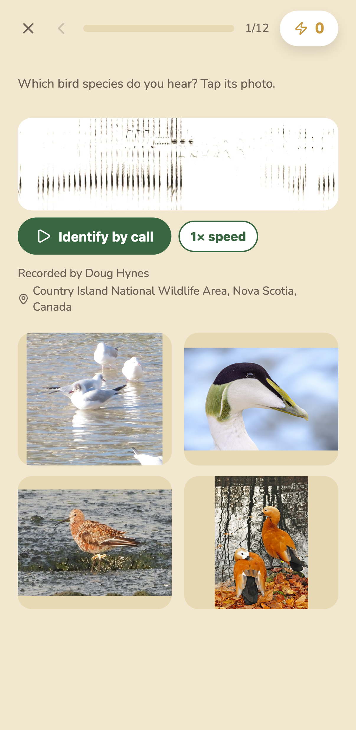 A call question: a sonogram with the recordist and place credited beneath it, and four bird photos to choose between