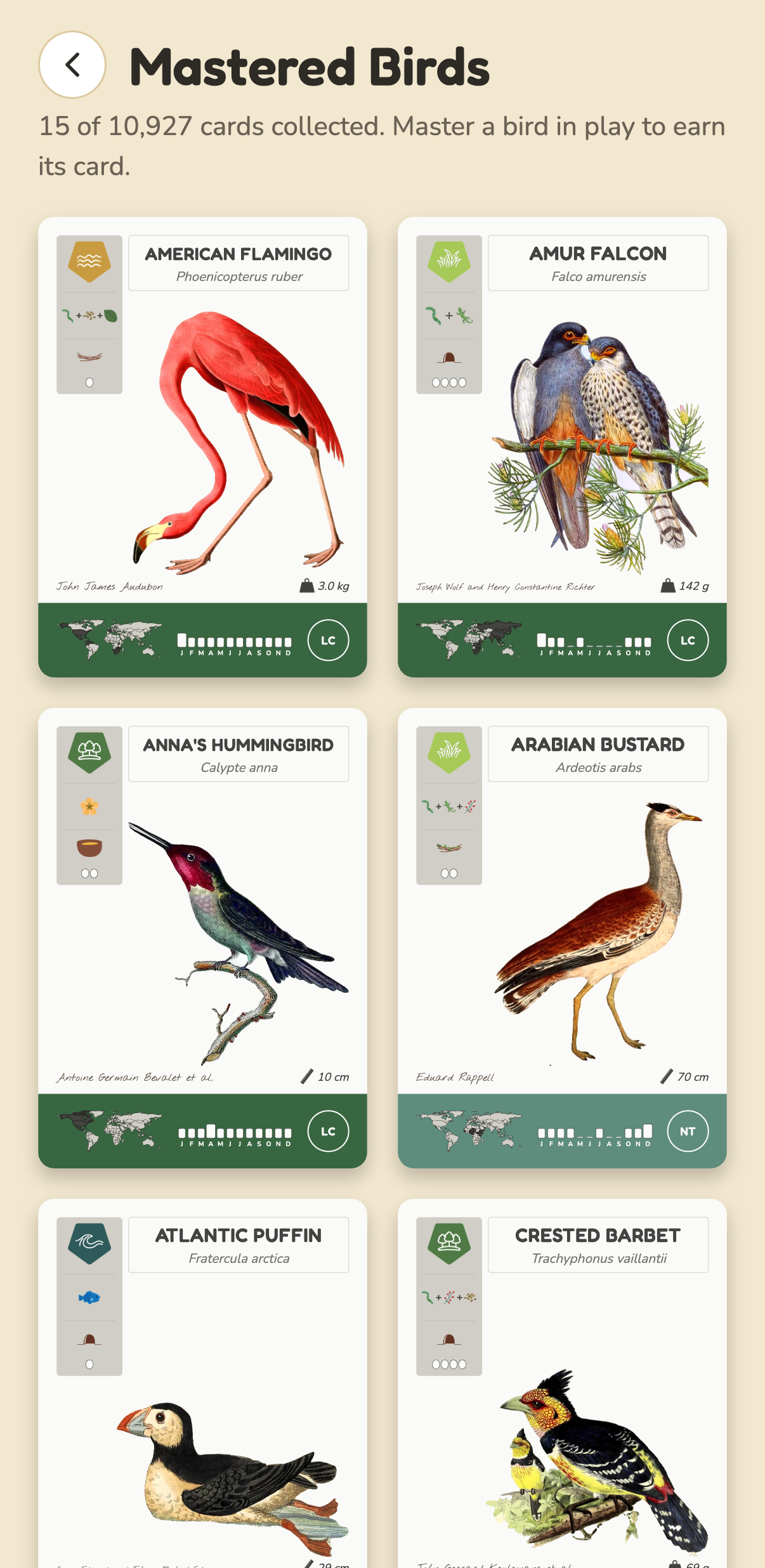 A collection of mastered bird cards — American Flamingo, Amur Falcon, Anna's Hummingbird, Arabian Bustard, Atlantic Puffin and Crested Barbet — each with its painting, traits, range and months